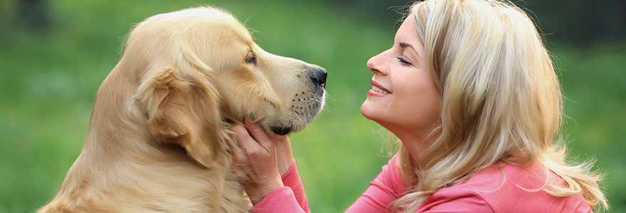 vivre avec son chien